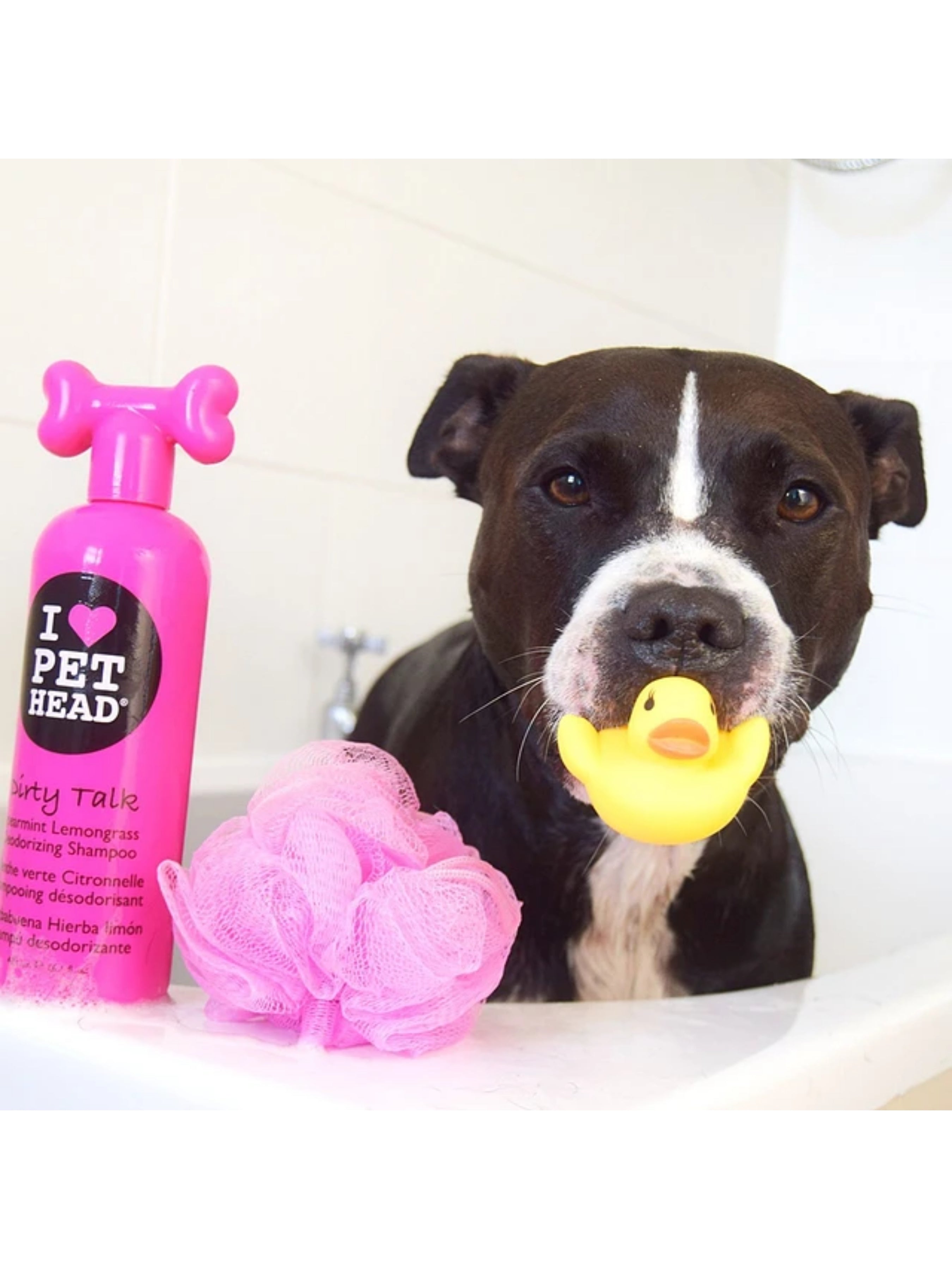 ¿Por qué elegir productos hipoalergénicos y veganos de Pet Head para tu mascota? 🛁🐾