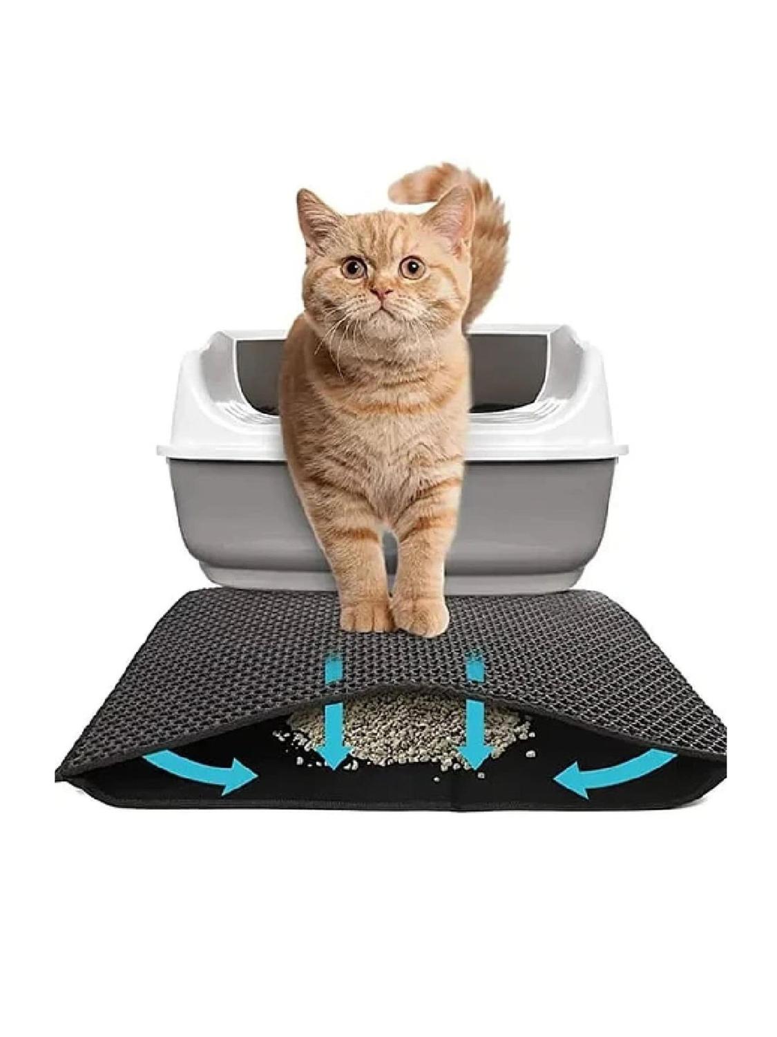 jpg_1500x1500_64180863