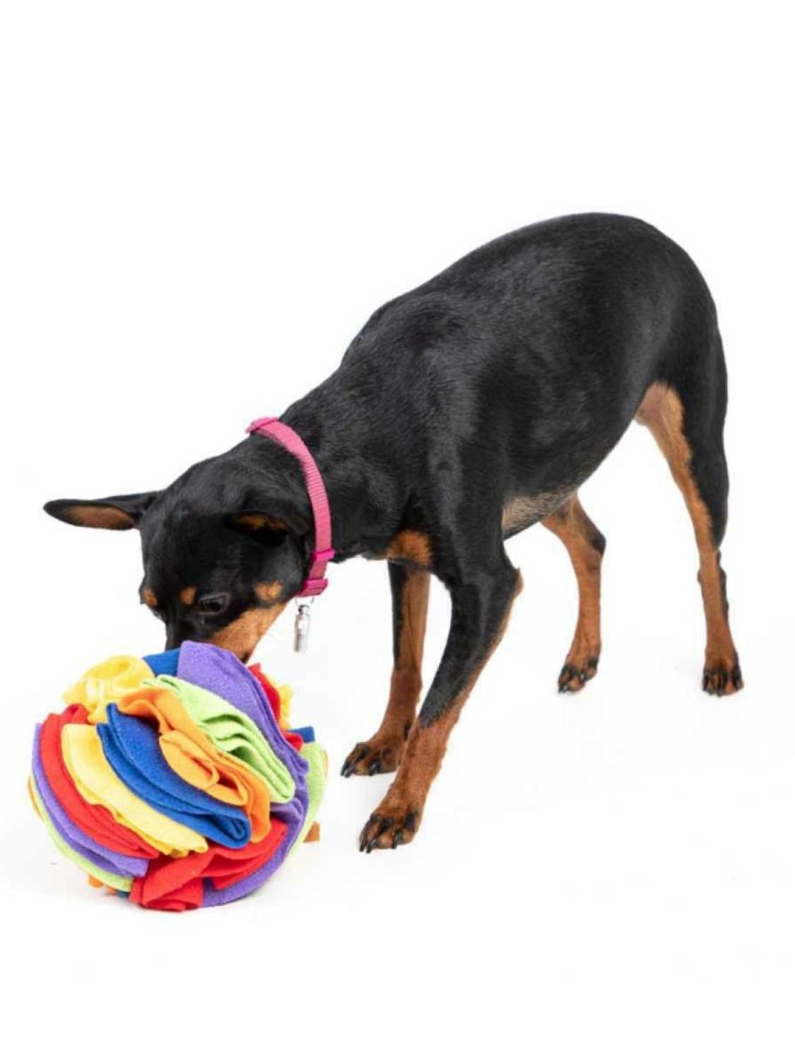 jpg_1500x1500_61018480