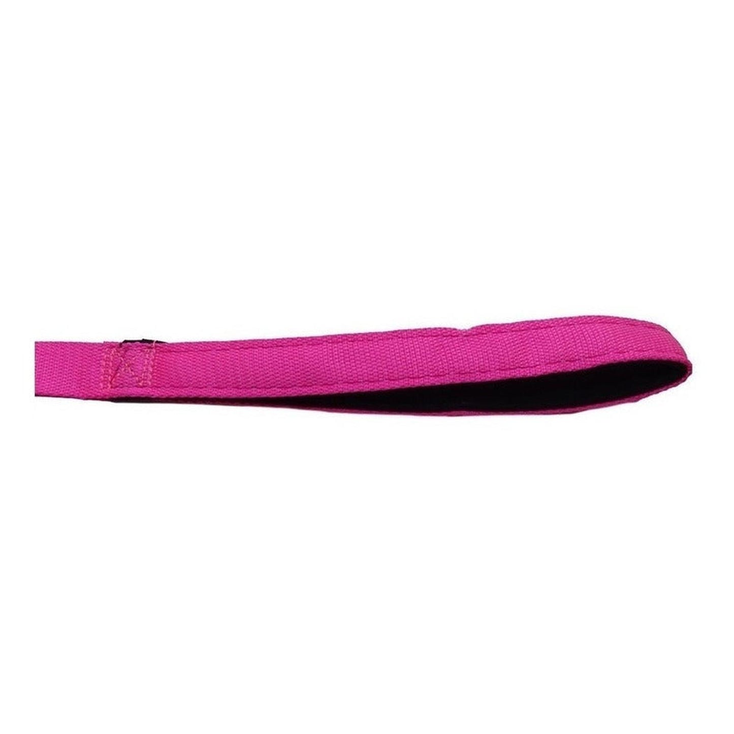 Correa Para Perros De Paseo Nylon Reforzado Talla S