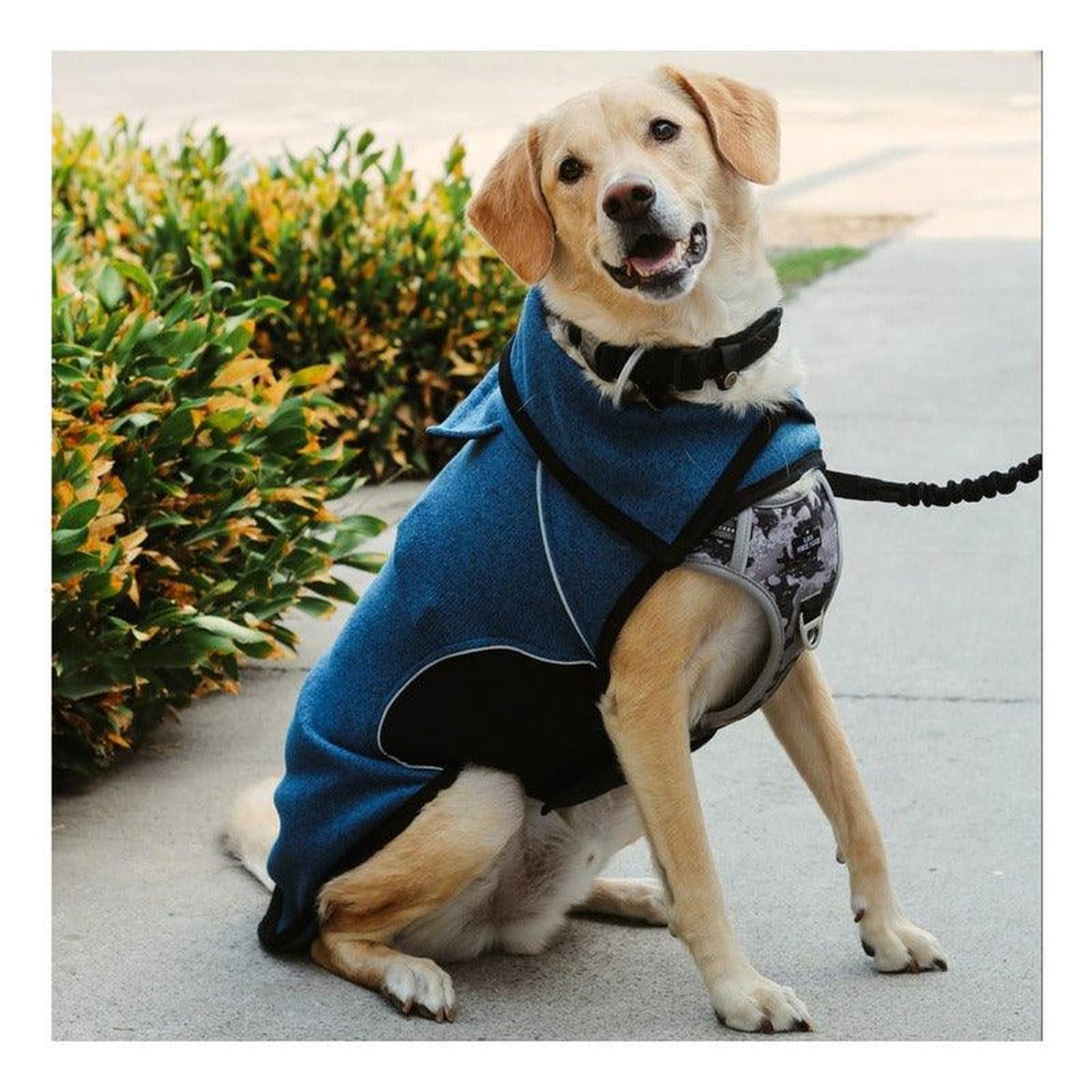 jpg_1500x1500_60276256