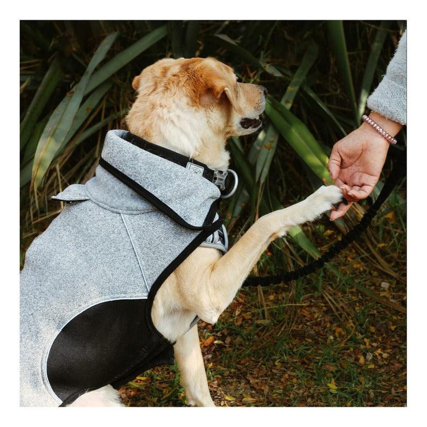 jpg_1500x1500_60276264