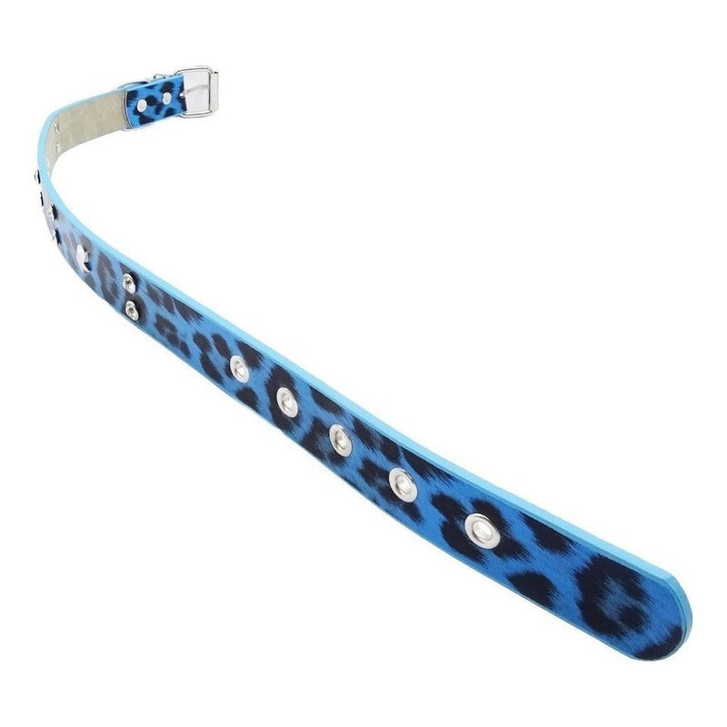 Collar Para Perro Animal Print Con Tachas Brillante 52x2.5