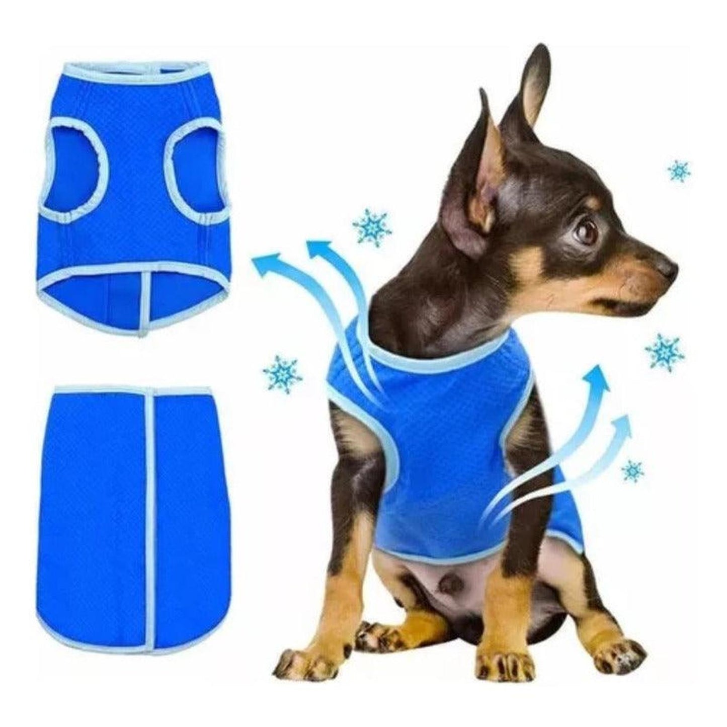 jpg_1500x1500_60276383