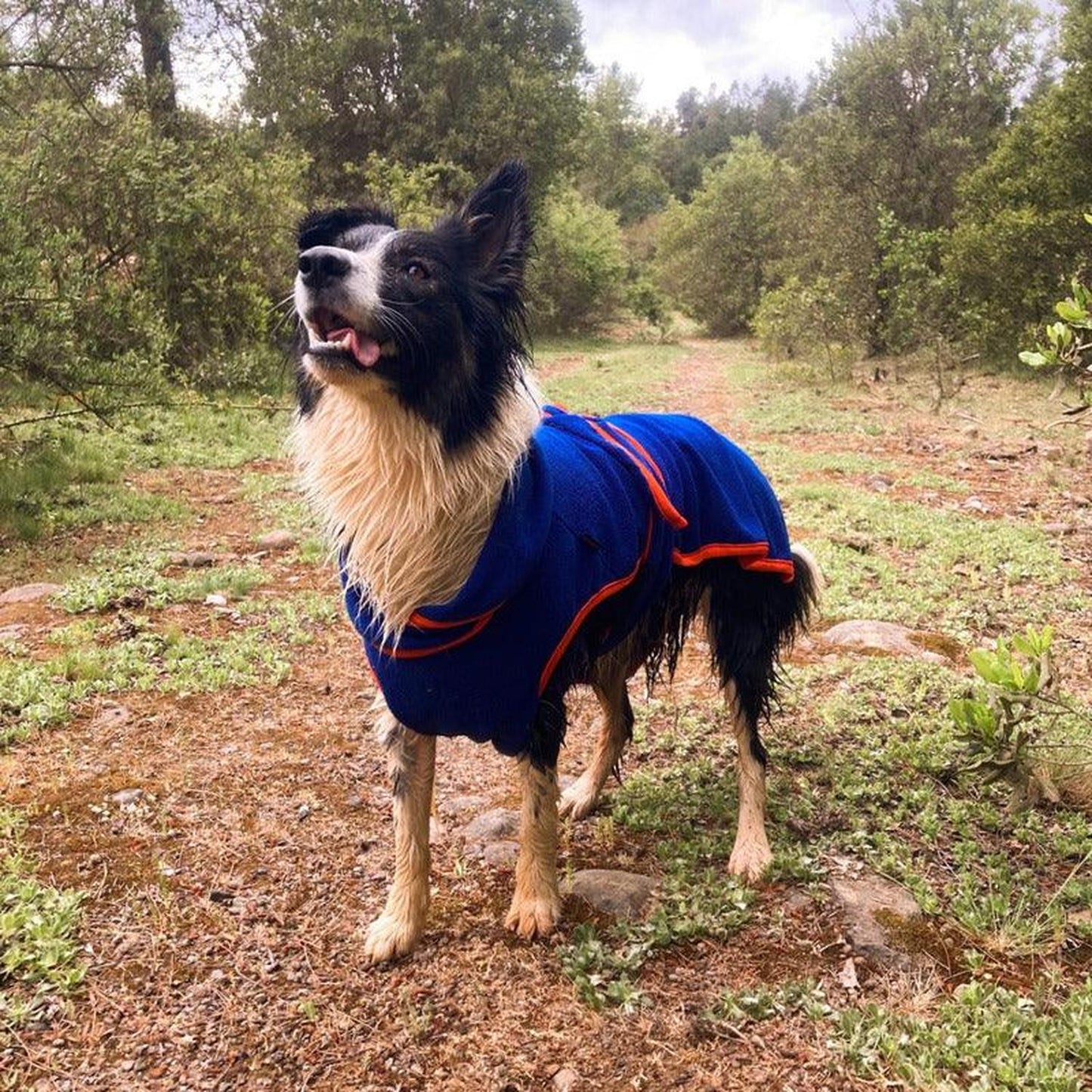 jpg_1500x1500_60276351