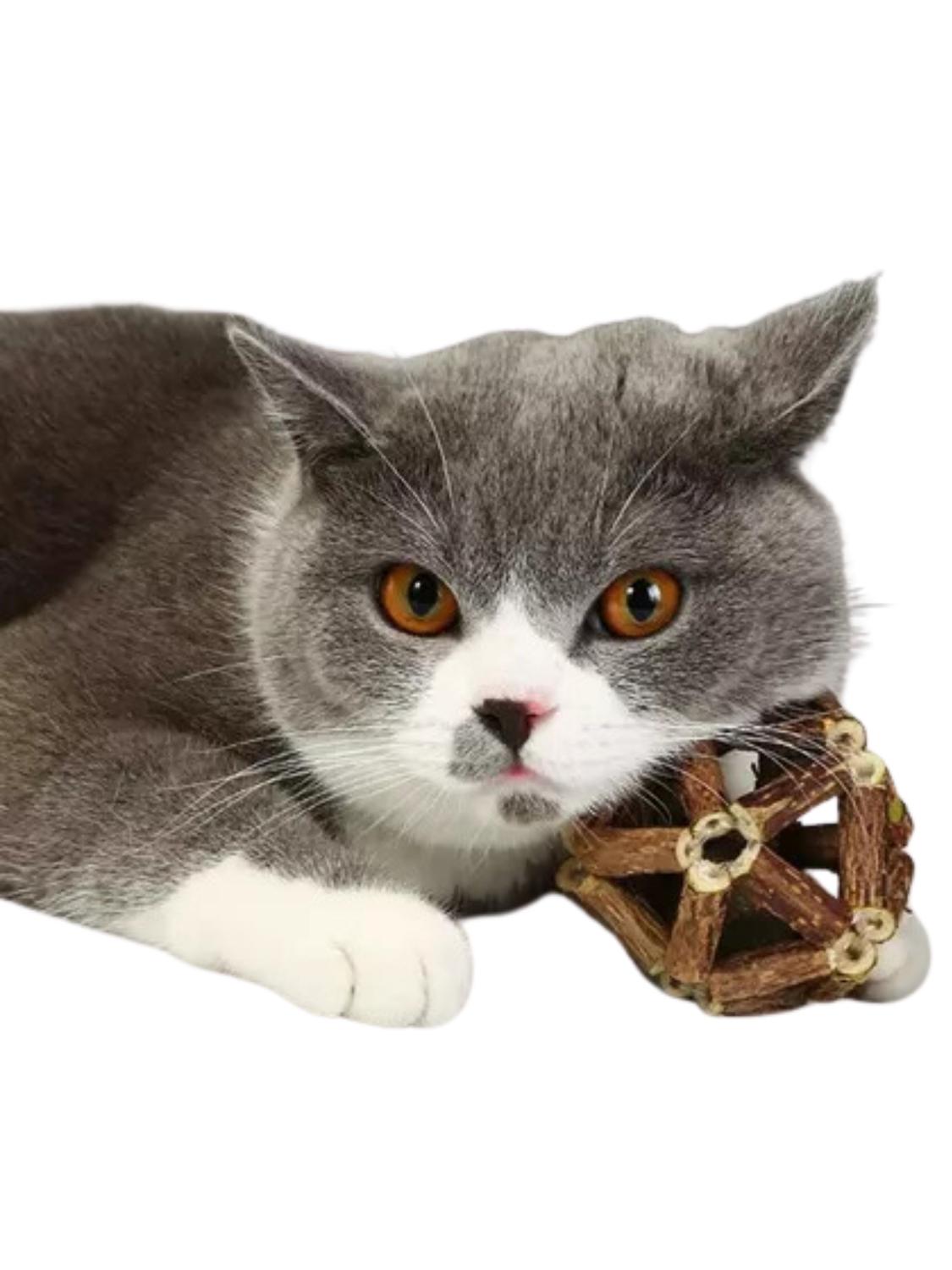 jpg_1500x1500_60910661