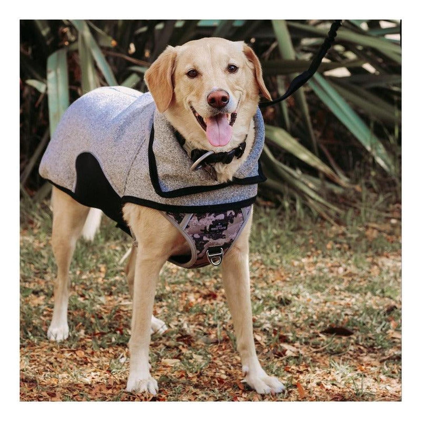 jpg_1500x1500_60276259