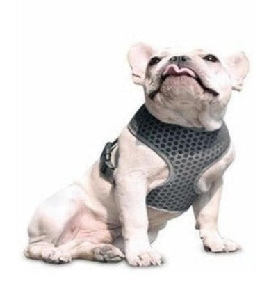 Arnes Para Perros Pequeños Talla S Outdoor