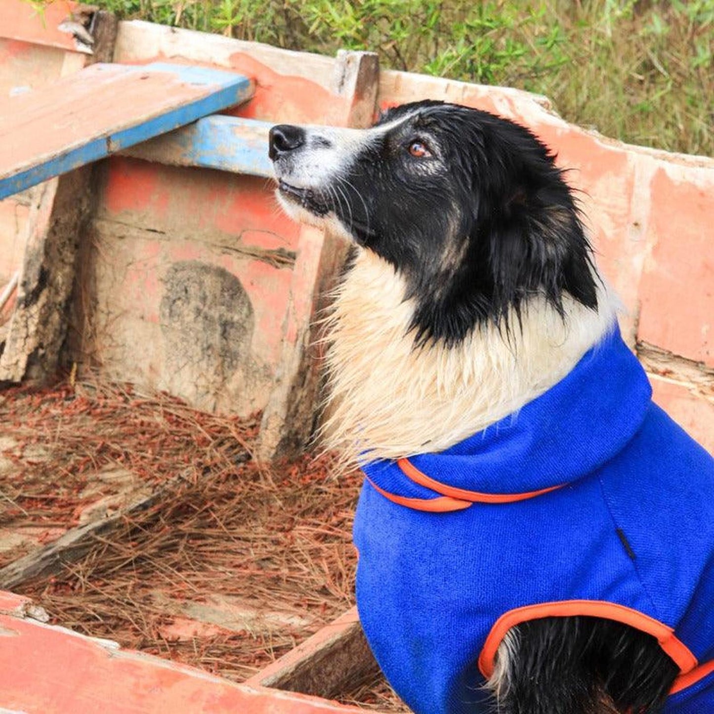 jpg_1500x1500_60276354