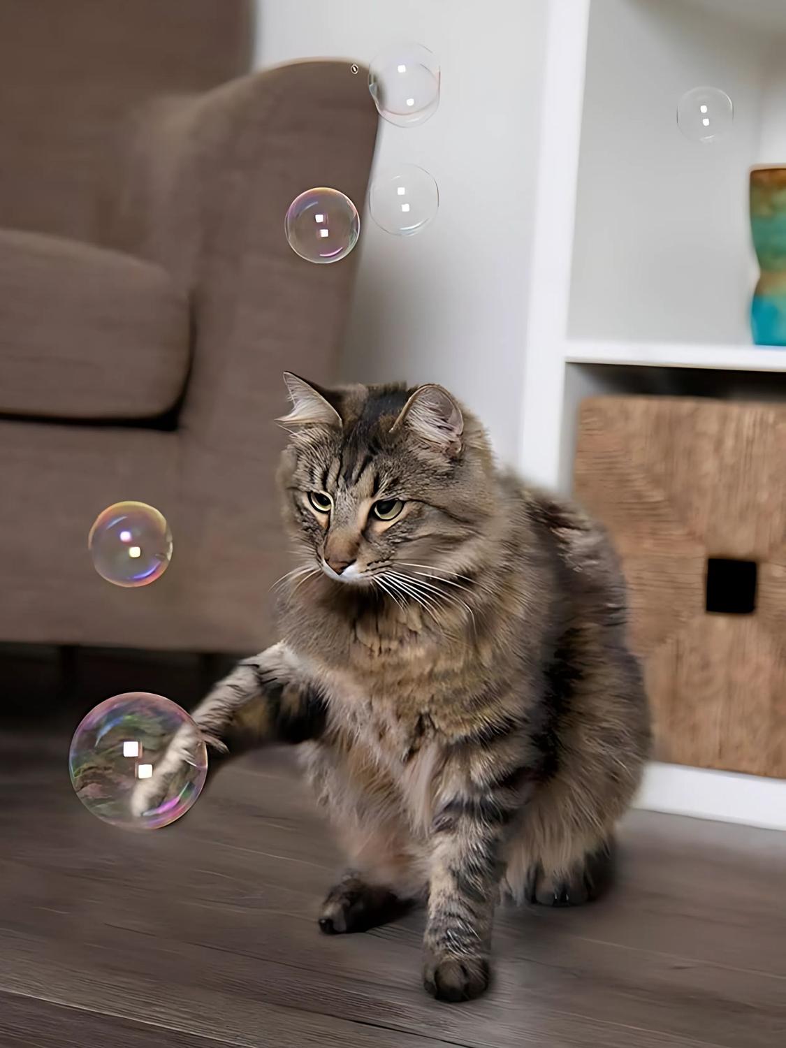 jpg_1500x1500_60910679