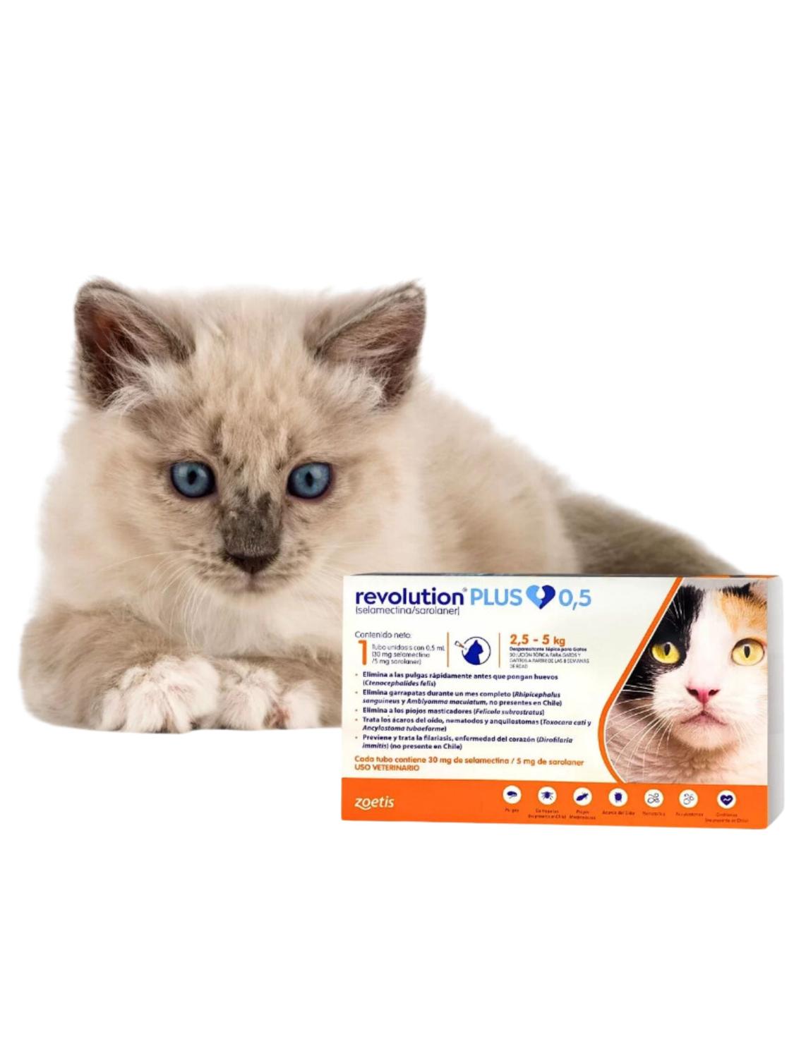 jpg_1500x1500_62138828