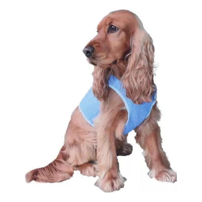 jpg_1500x1500_60276382