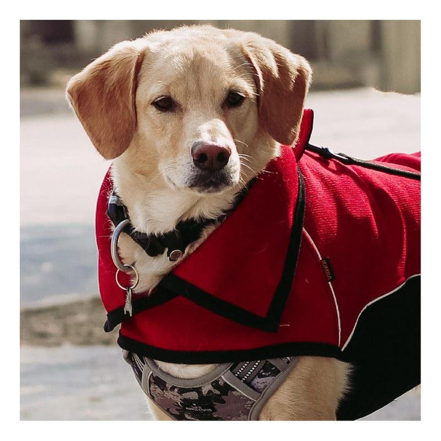 jpg_1500x1500_60276257