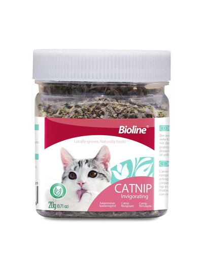 jpg_1500x1500_60882325