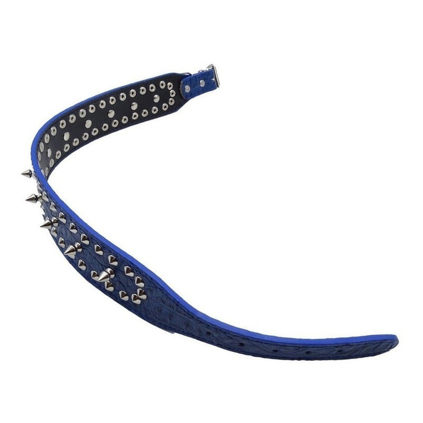 Collar Cuerina Con Púas Para Perros 58 Cm Reforzado Talla M
