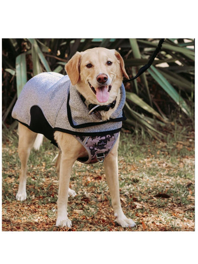 jpg_1500x1500_60791878