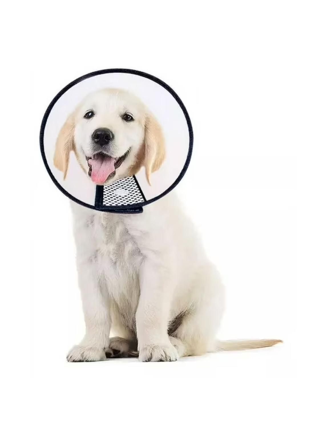 jpg_1500x1500_66854412