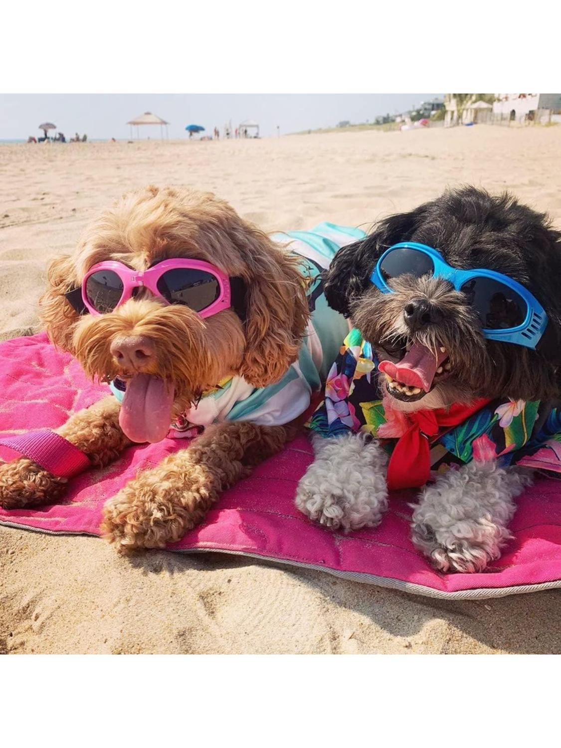 jpg_1500x1500_60935895