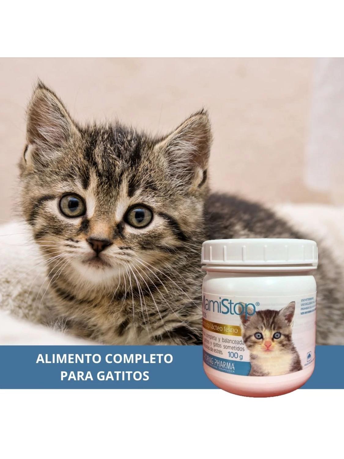 jpg_1500x1500_63393469