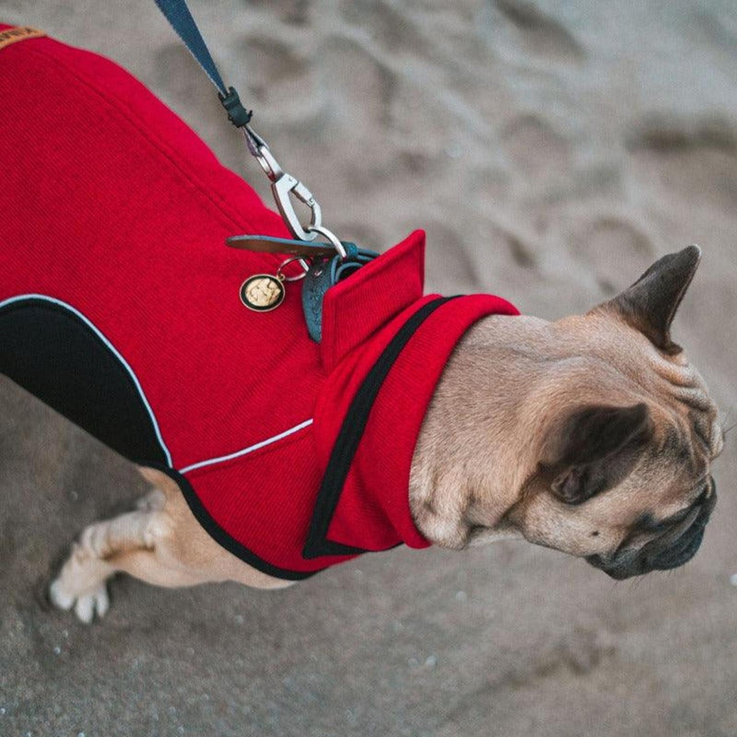 jpg_1500x1500_60276262