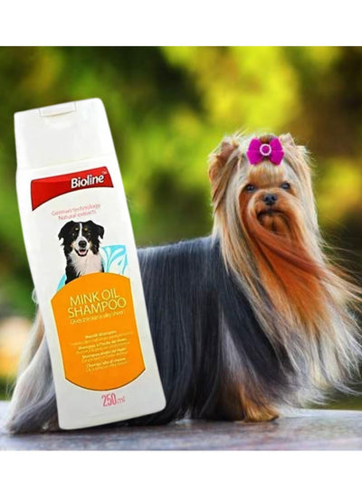 jpg_1500x1500_61711469