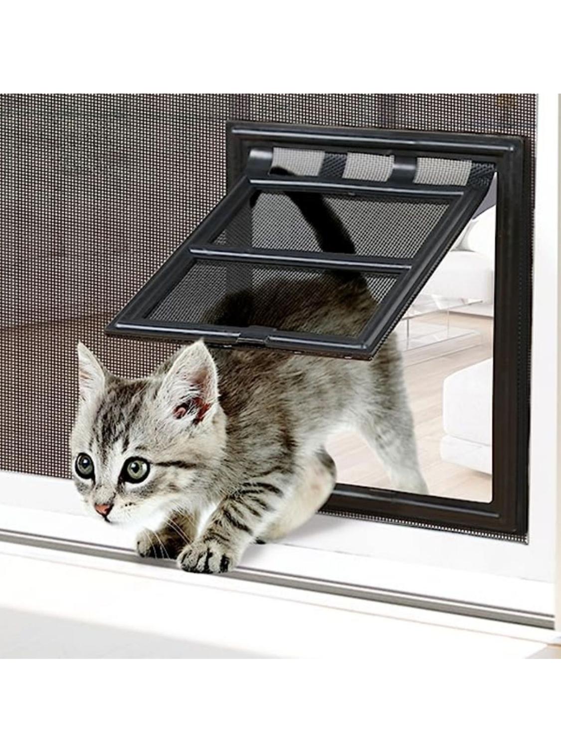 jpg_1500x1500_61012687