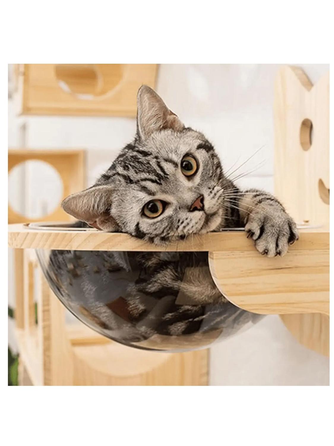 jpg_1500x1500_61597102