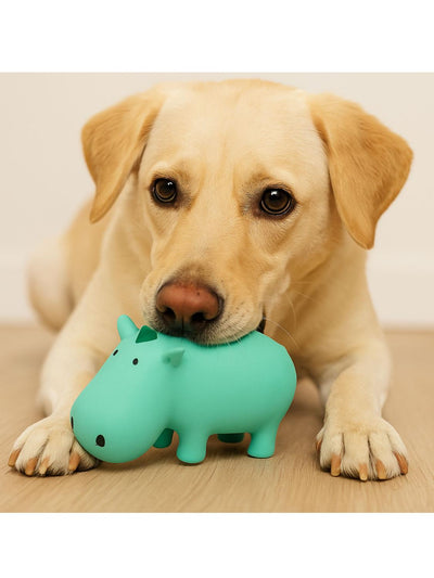 jpg_1500x1500_64811941