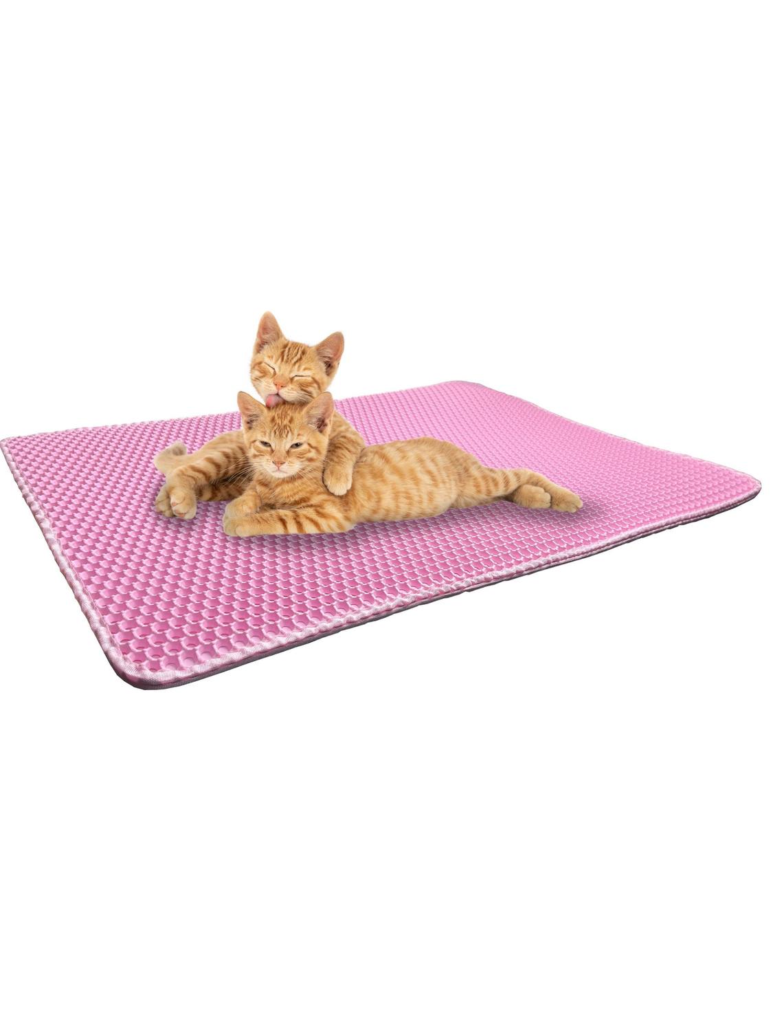 jpg_1500x1500_62012606