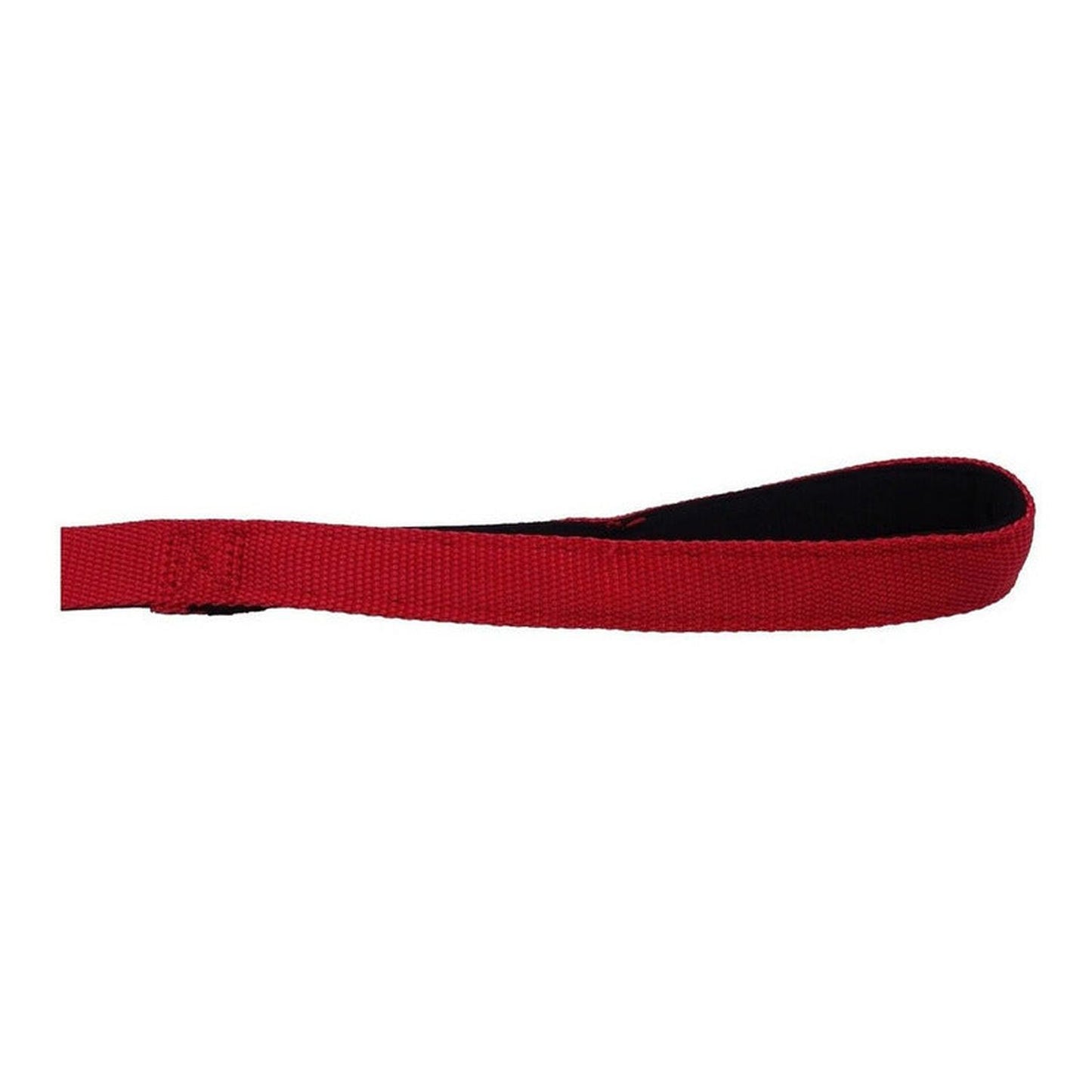 Correa Para Perros De Paseo Nylon Reforzado Talla M