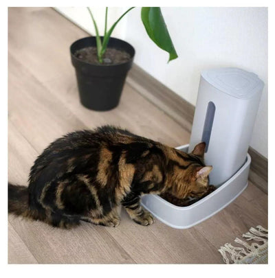 jpg_1500x1500_60269830