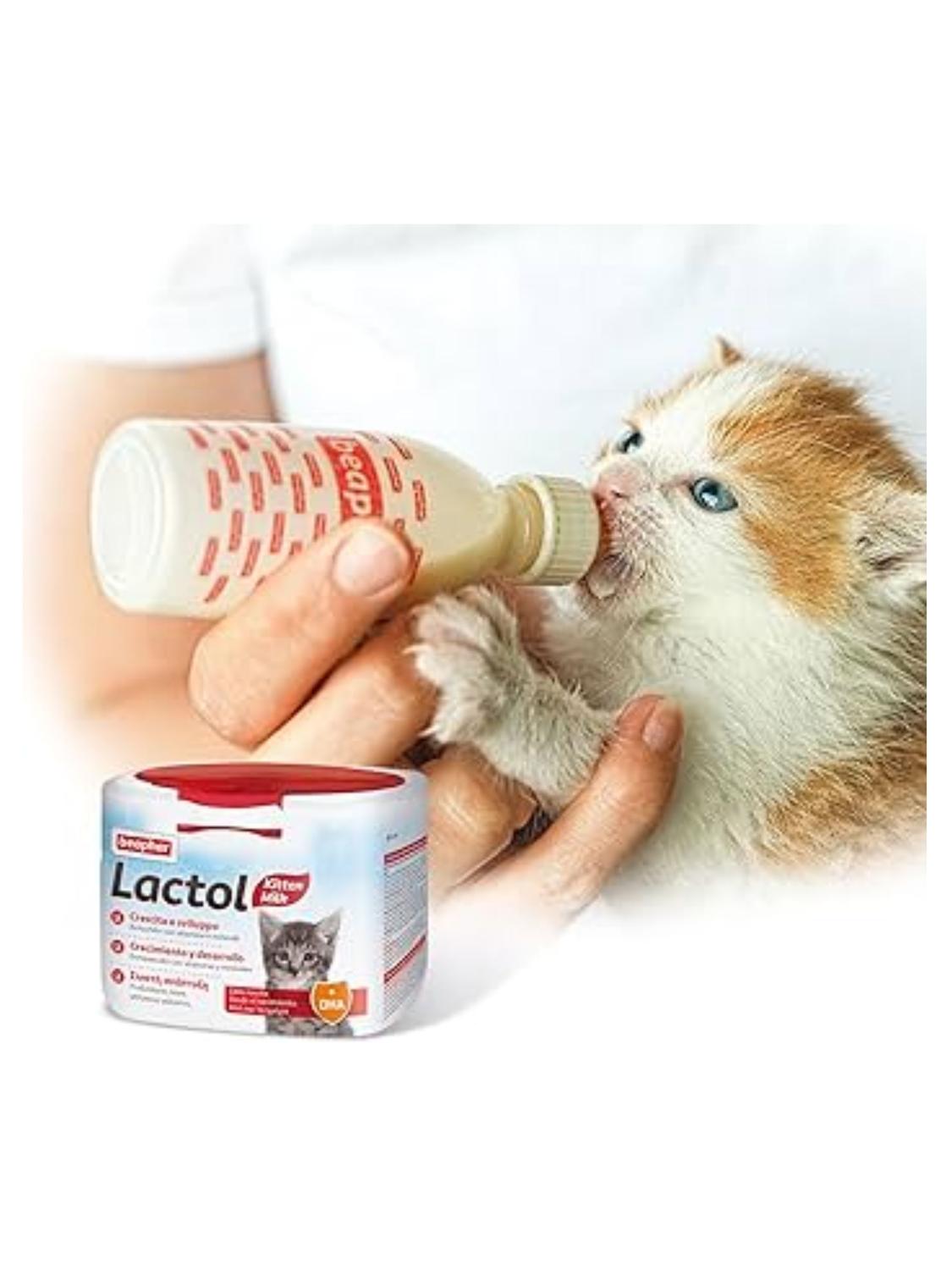 jpg_1500x1500_61598875