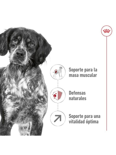 jpg_1500x1500_61775749