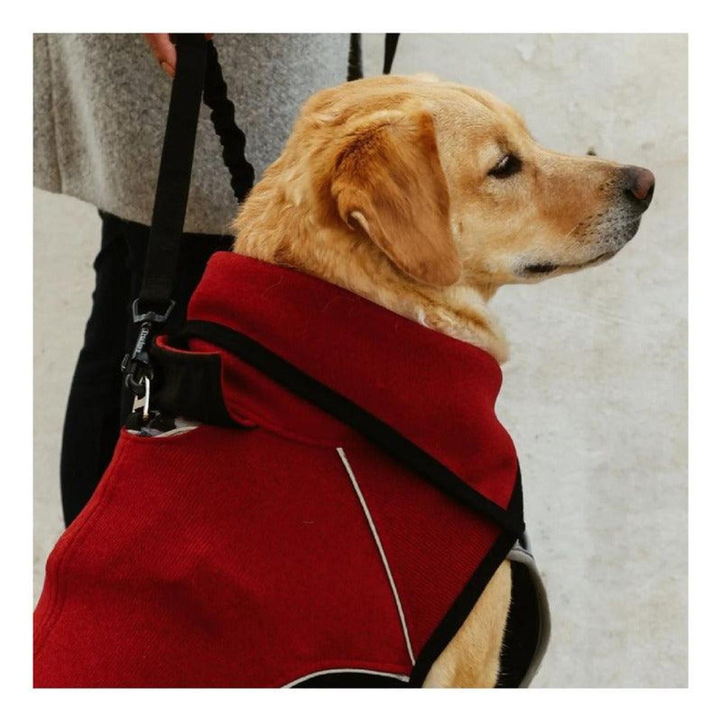 jpg_1500x1500_60276267