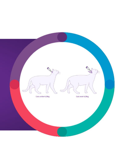 jpg_1500x1500_62133092