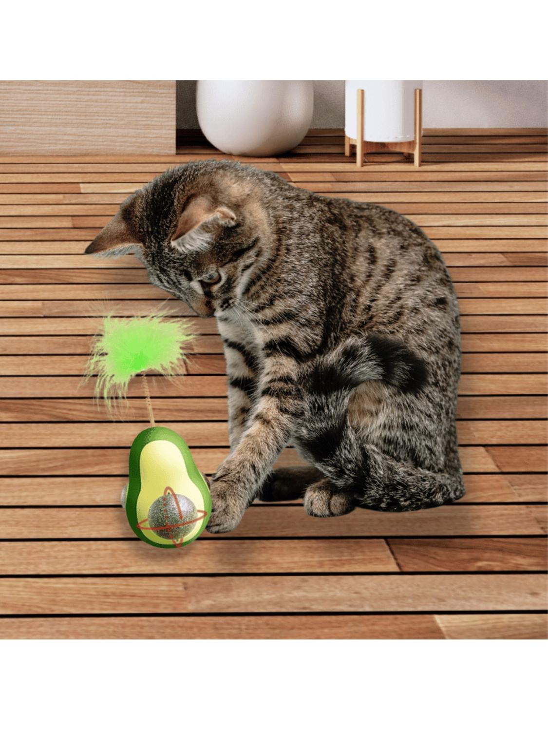 jpg_1500x1500_60910654