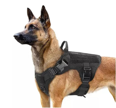 jpg_1500x1500_60381325