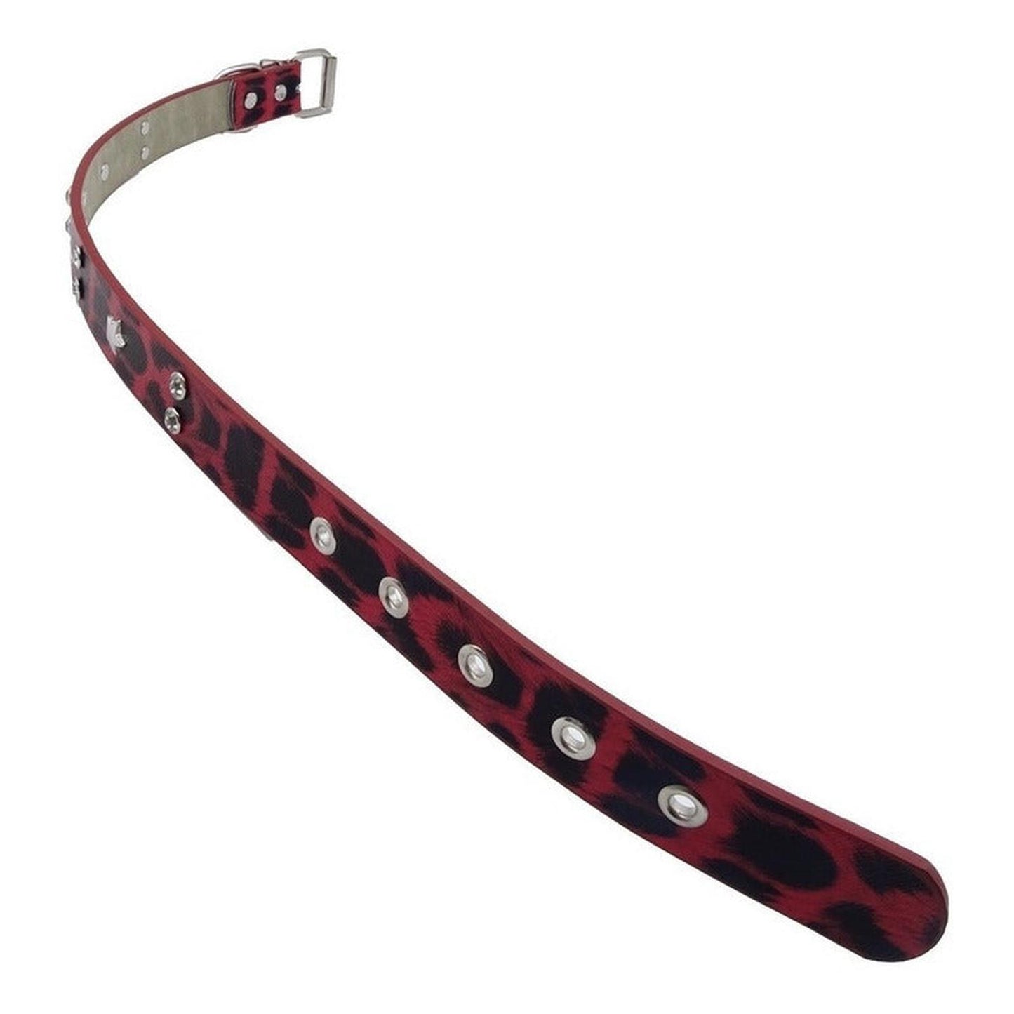 Collar Para Perro Animal Print Con Tachas Brillante 52x2.5