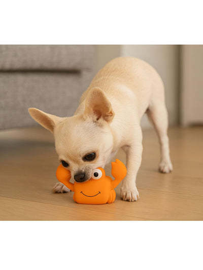 jpg_1500x1500_64811307