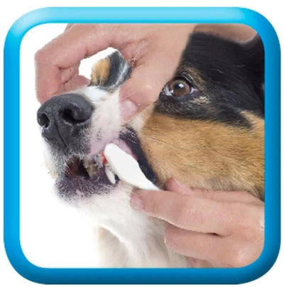 jpg_1500x1500_60270357