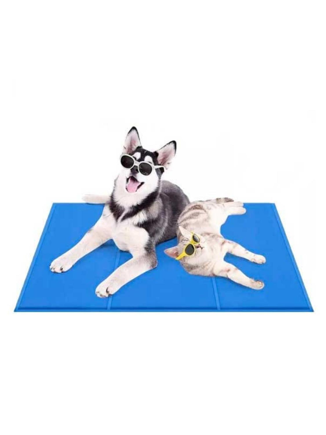 jpg_1500x1500_61400952