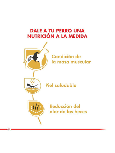 jpg_1500x1500_61794595