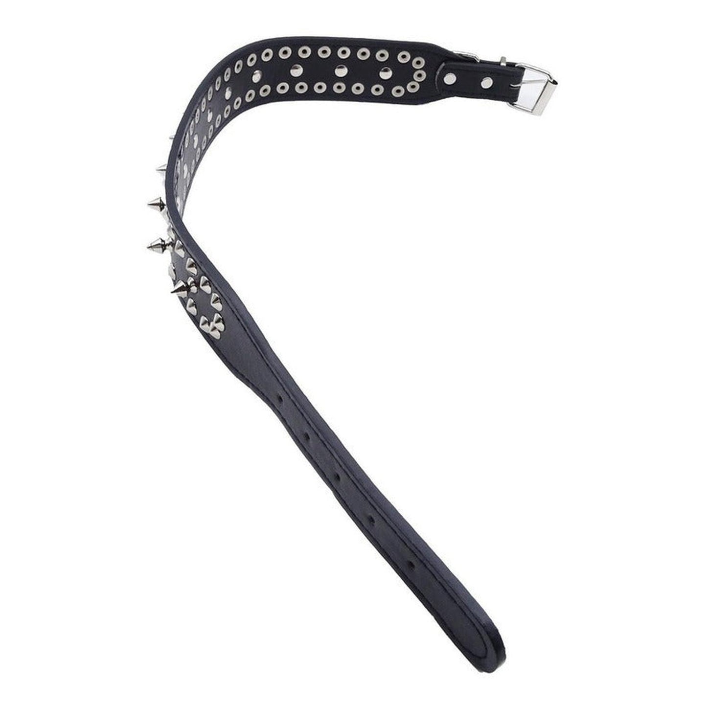 Collar Cuerina Con Púas Para Perros 58 Cm Reforzado Talla M