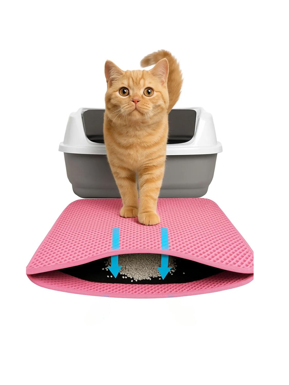 jpg_1500x1500_66964700