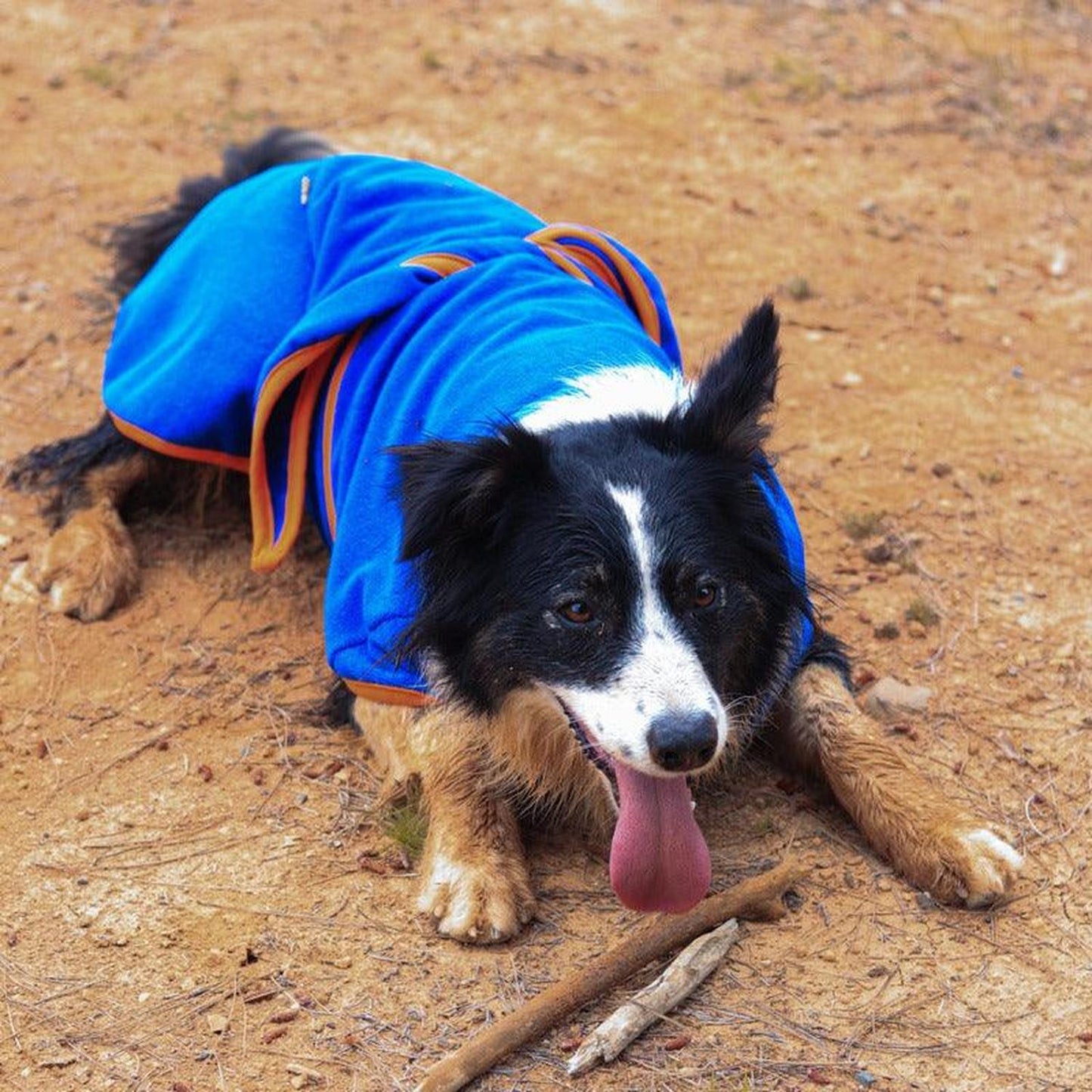 jpg_1500x1500_60276356