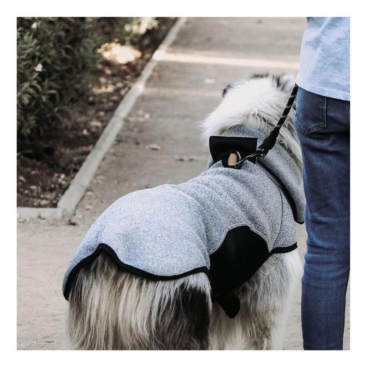 jpg_1500x1500_60276263