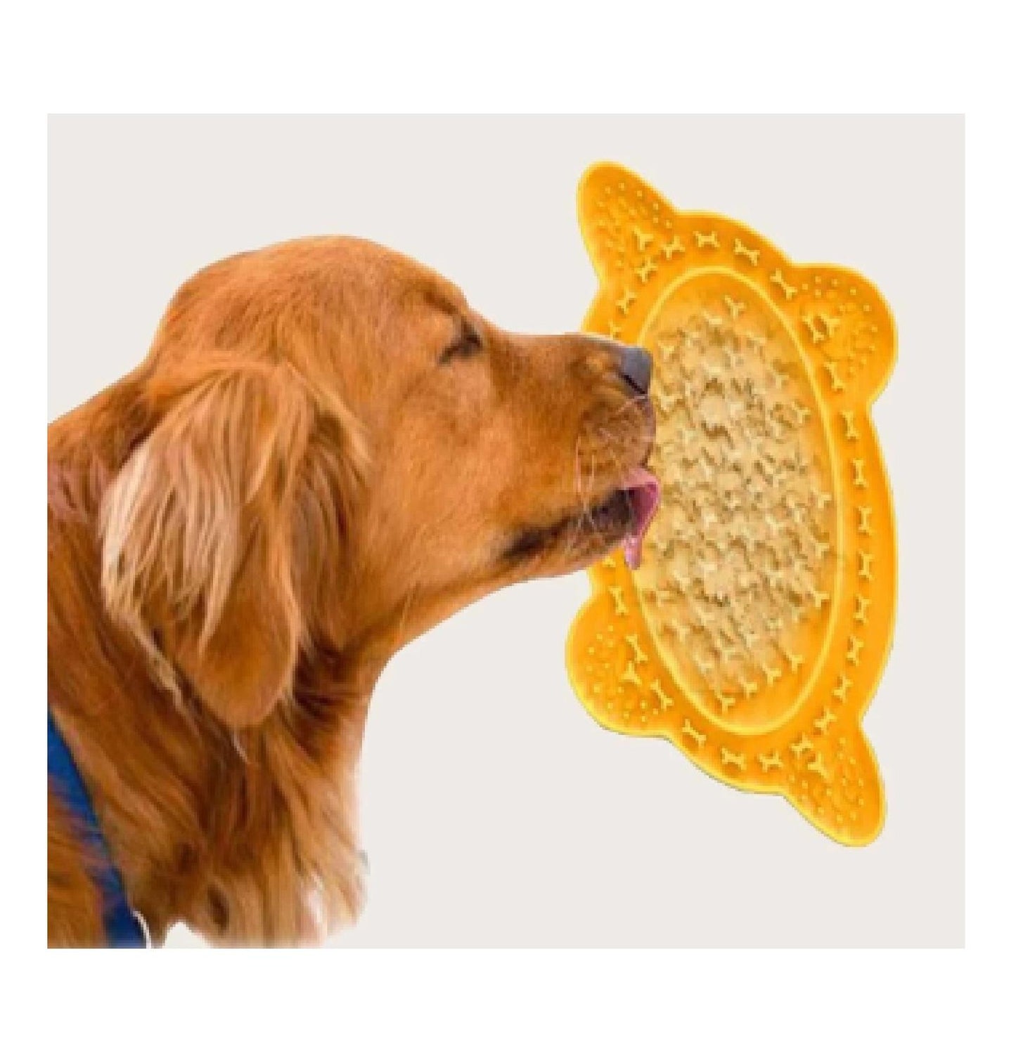 Plato de Alimentación Lenta en Forma de Hueso – Reduce Estrés