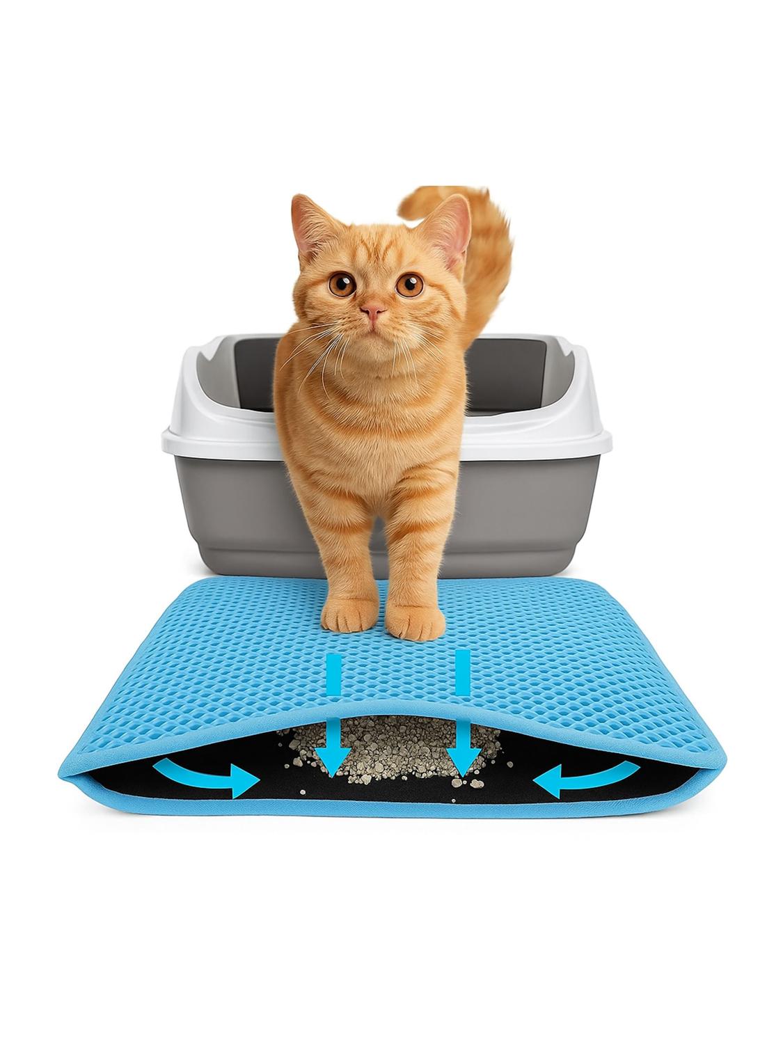 jpg_1500x1500_64180859