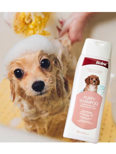 jpg_1500x1500_61711383