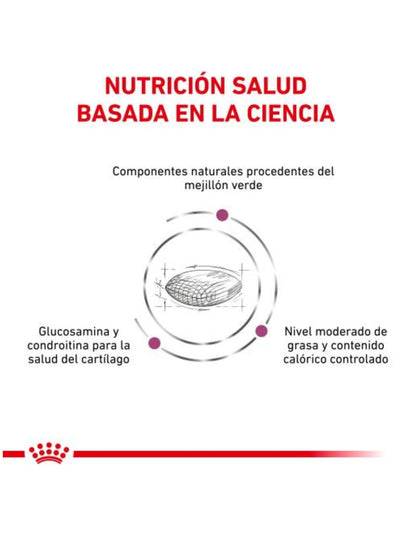 jpg_1500x1500_62181768